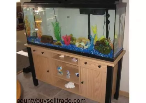 55 gallon fish tank/aquarium